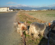 20100114085653.jpg