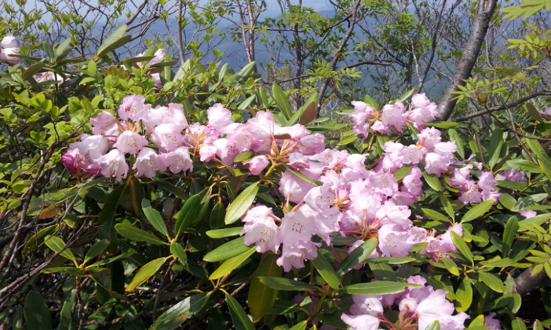 2012-05-05 12.59.53.jpg