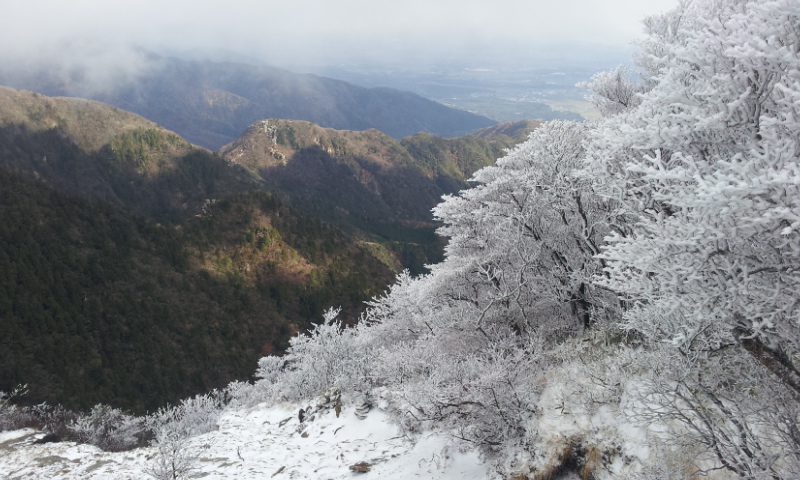 2011-11-22 10.02.12.jpg
