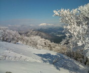 20100108103031.jpg