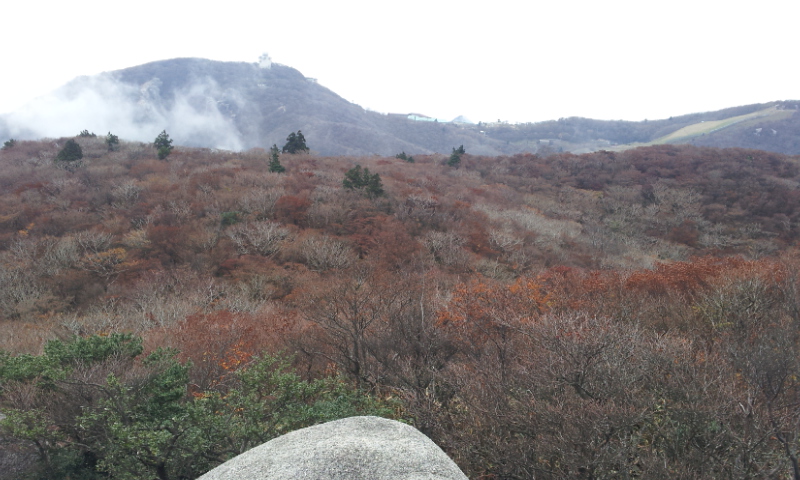 2011-10-30 09.32.58.jpg