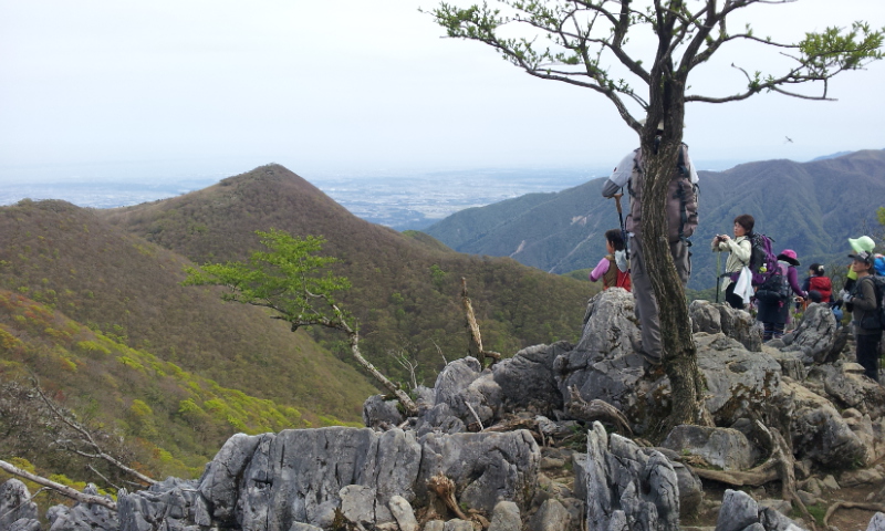 2012-05-13 14.46.15.jpg