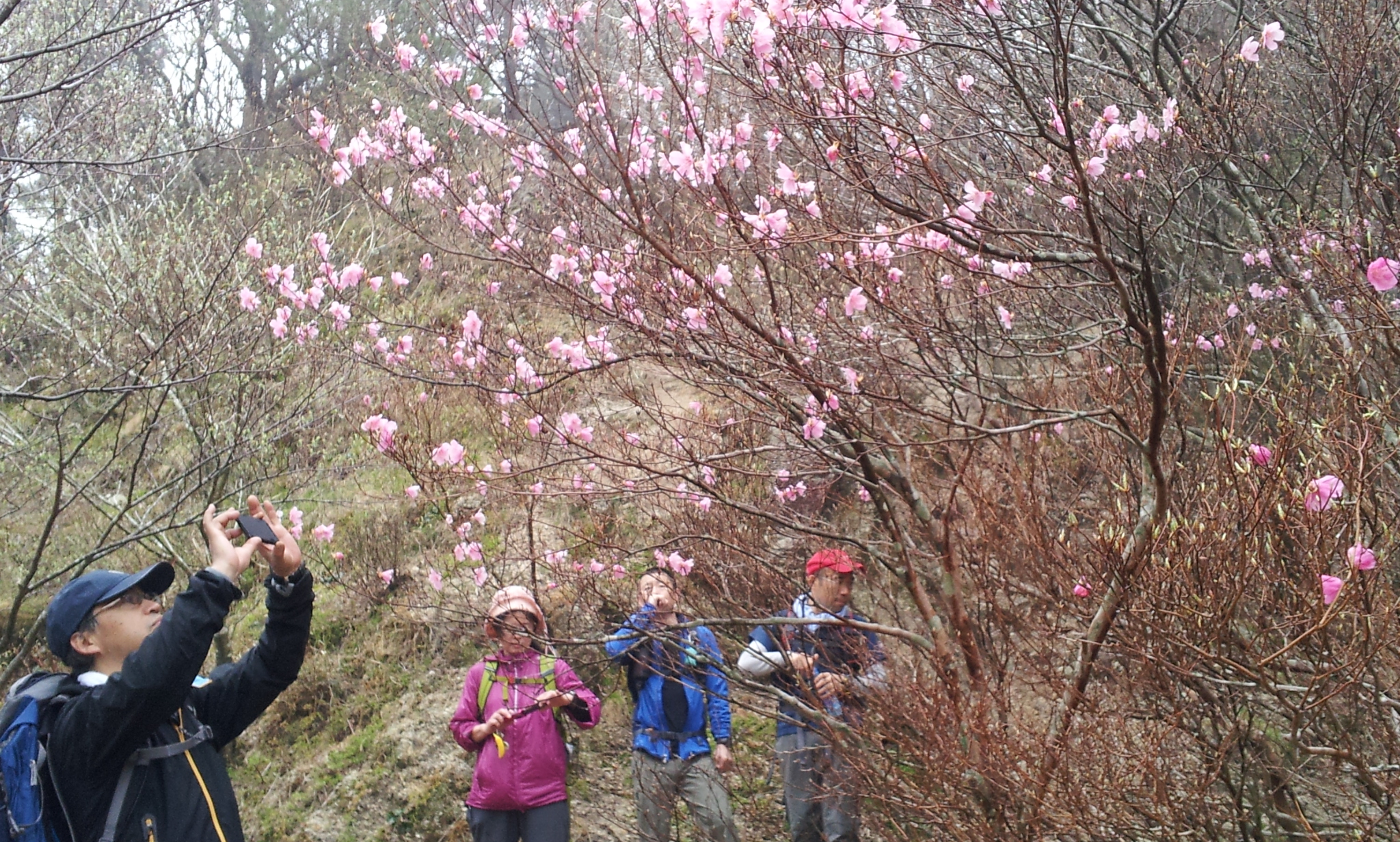 2012-04-30 10.04.51.jpg