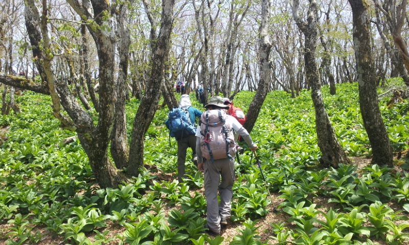 2012-05-13 12.00.02.jpg