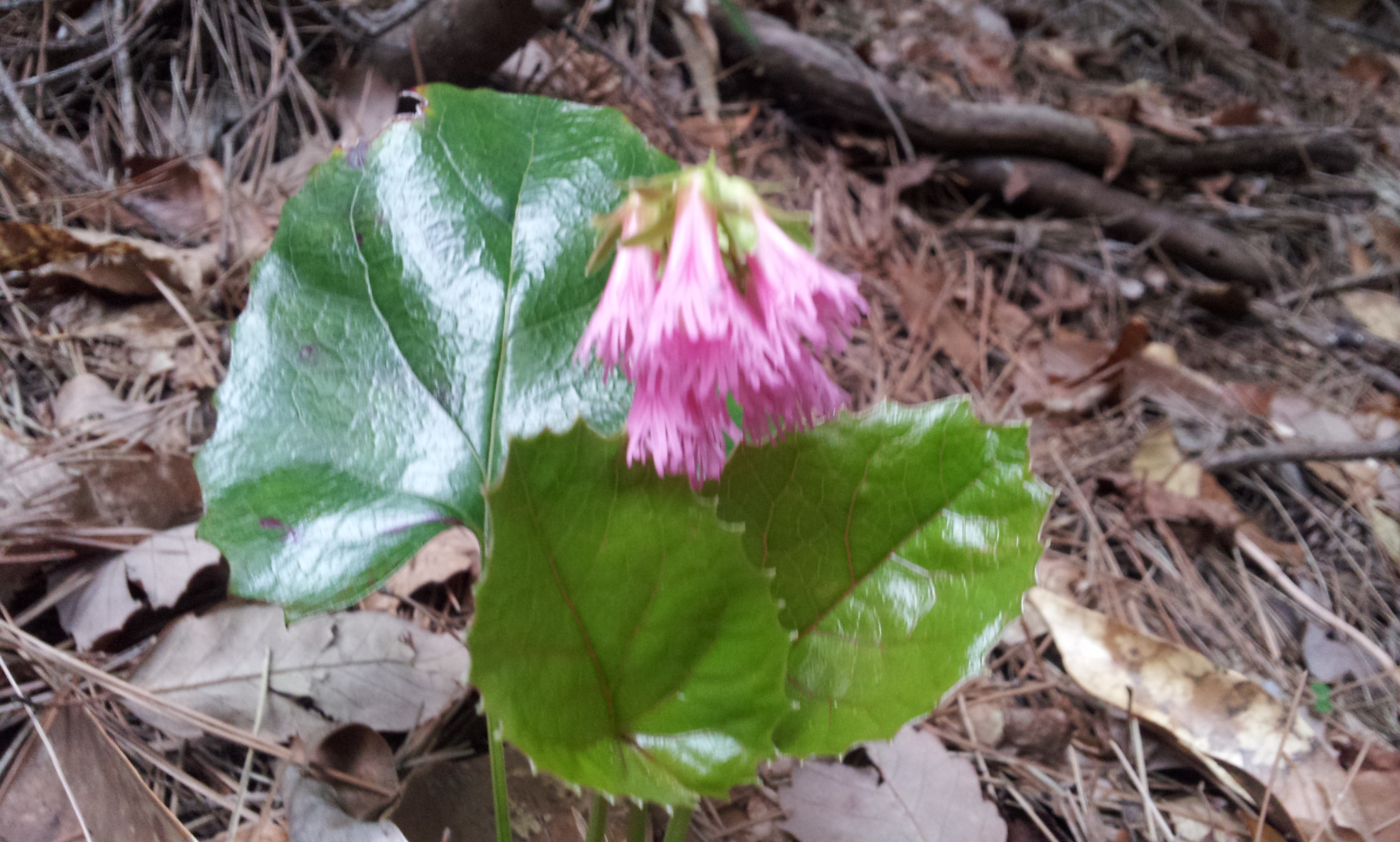 2012-04-30 11.11.00.jpg