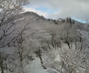 20100123125648.jpg