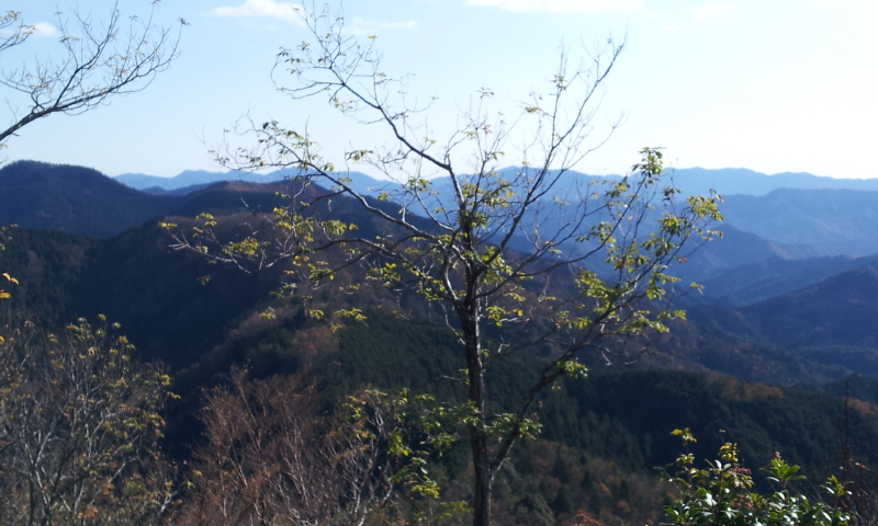 2011-12-10 10.15.28.jpg