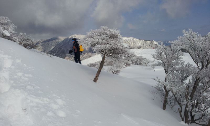 2012-01-29 11.45.45.jpg